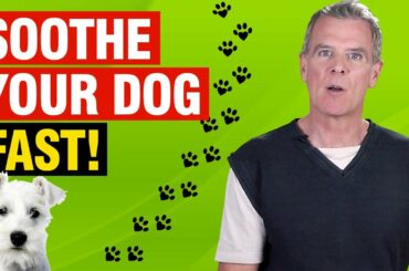 Natural Home Remedies to Soothe My Dogs Itchy Skin [5 Effective Remedies]