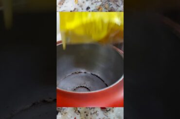 White Sauce Pasta || Italian delite || Vegetarian recipe || Indian kitchen