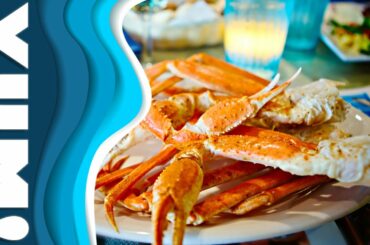Top 5 Restaurants in Myrtle Beach South Carolina (what's for dinner)!