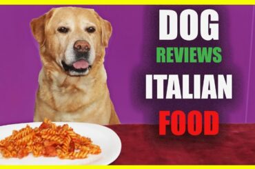 DOG Eating ITALIAN FOOD - ASMR Eating sounds