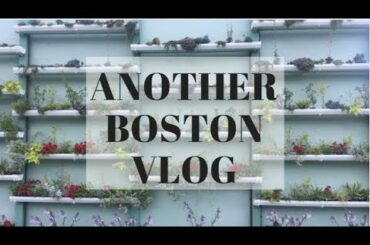 ANOTHER BOSTON VLOG | ART AND ITALIAN FOOD ♡