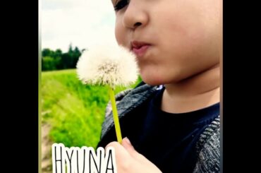 Kid playing with dandelion (Francia Corta Italy)
