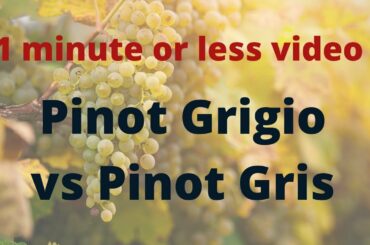 Wine 101 for beginners-Pinot Grigio vs Pinot Gris