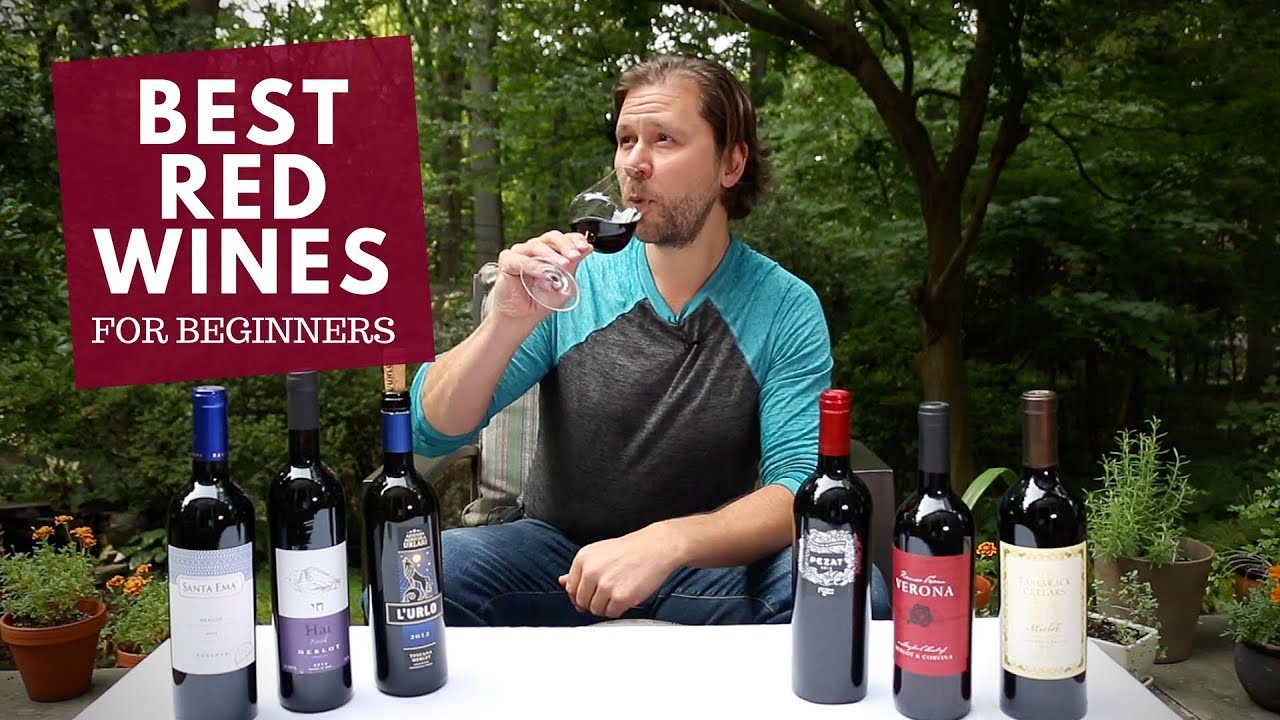 The Best Red Wines For Beginners (Series): #3 Merlot The Best Red Wines For Beginners (Series): #3 Merlot