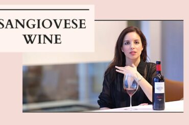 Sangiovese - Italian Wine - Tuscany