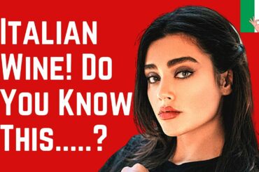 Italy's Best 20 Wine Regions to Visit - A Beginners Guide ❤️