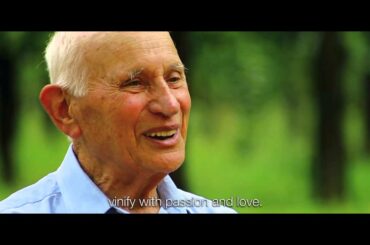 Leo Nardin Wines, the story of an Italian family