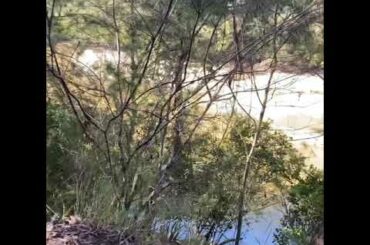 Ku Ring Gai trail Italian style