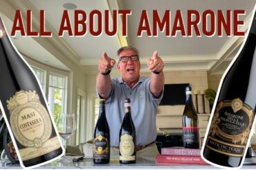 All About Amarone Wine || Decants With D || Italian Wines!