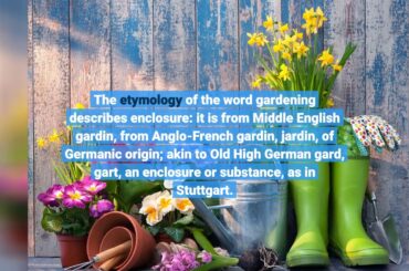 Our Olive Garden Italian Restaurant - Family Style Dining - Italian Statements