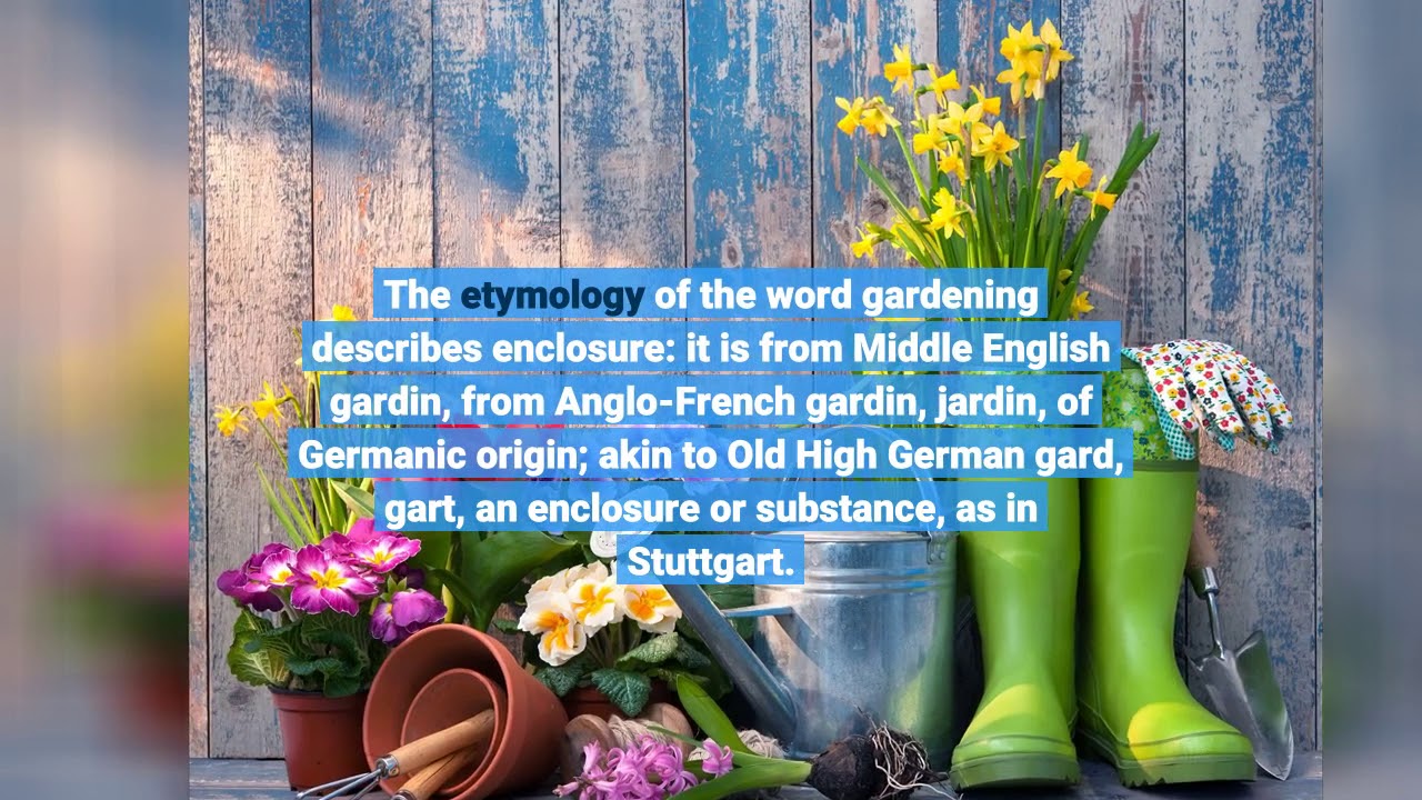 Our Olive Garden Italian Restaurant – Family Style Dining – Italian Statements Our Olive Garden Italian Restaurant - Family Style Dining - Italian Statements