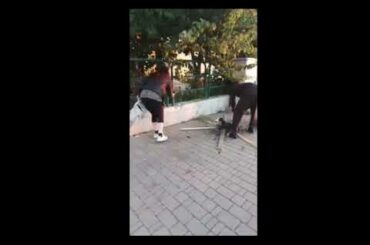ITALIAN WOMAN AGAINST AFRICAN MAN COOKING A STRAY CAT NEAR THE TRAIN STATION