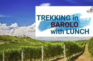 Trekking in Barolo wine region with lunch | Hiking trails in Piedmont, Italy