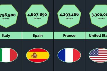 Comparison: Top Wine Producing Country In The World