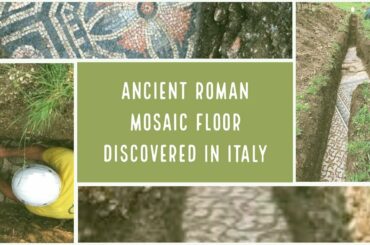 Perfectly Preserved Ancient Roman Mosaic Floor Discovered in Negrar Italy | Verona | Archaeology |