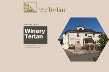 Winery Terlan - south Tyrol