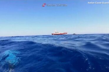WEB EXTRA: Whales Of Southern Italy