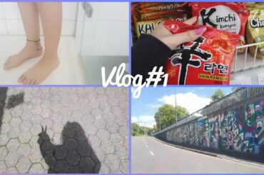 Vlog#1 [ Face Reveal, Asian Market, Italian Market..]