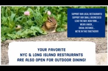 Support Our Local Restaurants! Support Our Small Businesses!