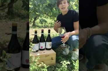 Virtual Wine Tasting with Agricola Brandini