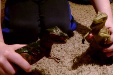 Larry and Italian Food  S1 Ep 1