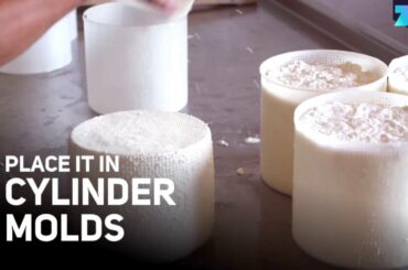 This is how you make maggot cheese. YUMMY!