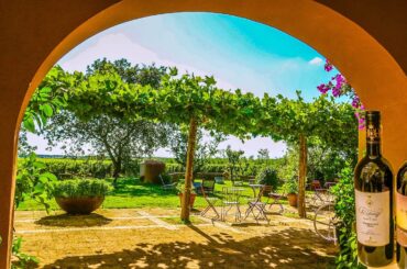 Bolgheri Vineyards & Vada Sea Italy ชมไร่องุ่นที่โบลเกรี่และทะเลวาดา อิตาลี