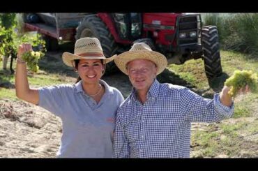 An Introduction to Paolo Saracco and the world's best Moscato D'Asti