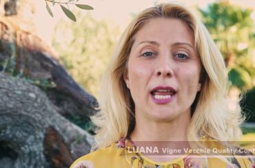 Vigne Vecchie Italian Food