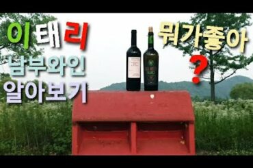 이탈리아 남부지역 와인 이야기! Southern Italian Wines!