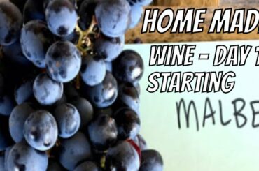 How to make wine - Homemade Malbec - Day 1 - Starting Brew