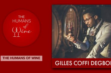 Interview n.° 19 - Gilles Coffi Degboe / Sommelier and Consultant - Emilia Romagna, ITALY