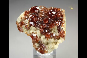#17996 - GARNET var. HESSONITE, DIOPSIDE, Susa Valley, Italy