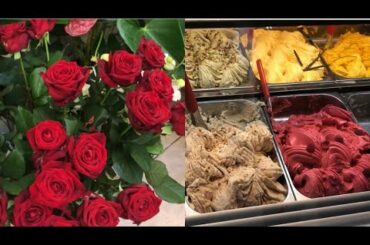 Italian Ice Cream (Gelato) and Flower shop