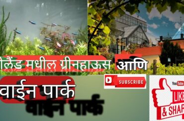 पोलैंड मधील ग्रीनहाऊस आणि वाईनपार्क || ( Palm house & wine park in Poland )||Marathi Vlog