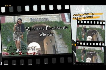 Wine Diary:Discovering Award Winning Italian Wine | Berlucchi