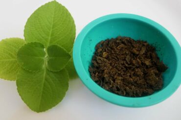 How To Make Oregano At Home | Oregano | Oregano Recipe | Italian Herbs | Kitchen Hacks | Tips Tricks