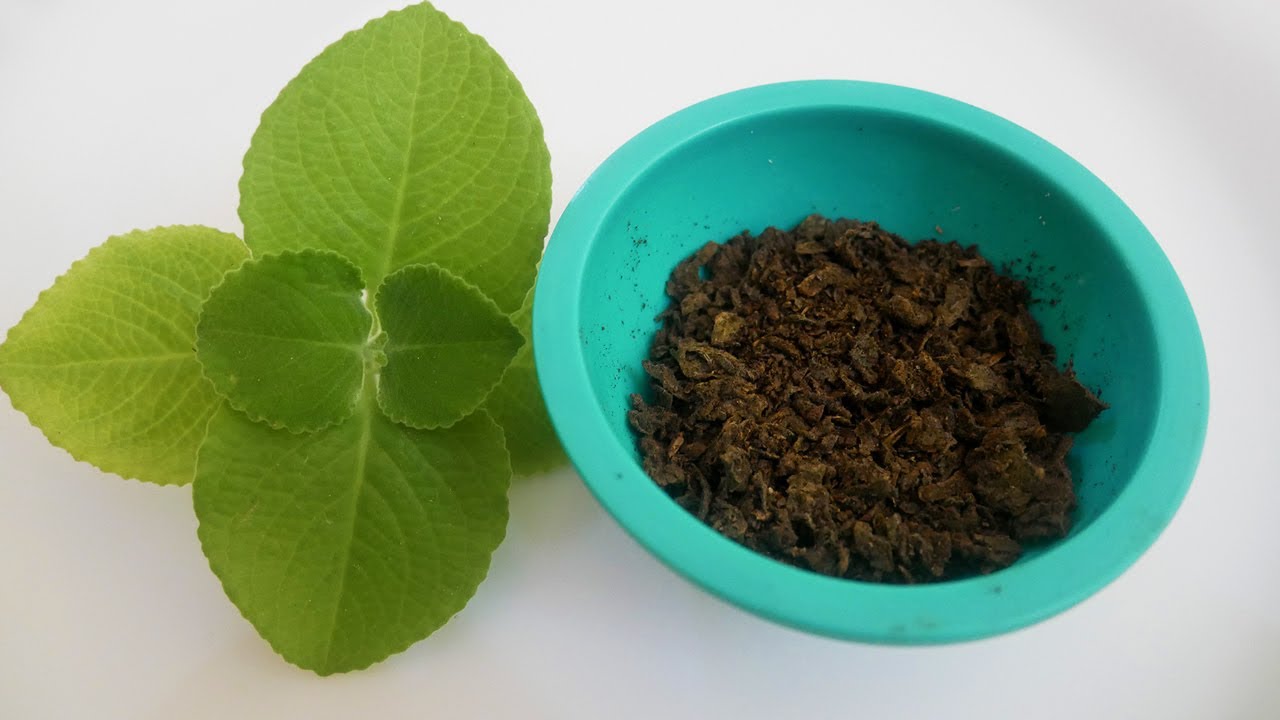 How To Make Oregano At Home | Oregano | Oregano Recipe | Italian Herbs | Kitchen Hacks | Tips Tricks How To Make Oregano At Home | Oregano | Oregano Recipe | Italian Herbs | Kitchen Hacks | Tips Tricks