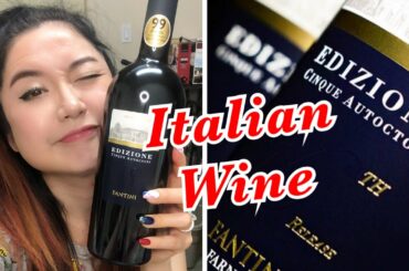 Fantini Edizione Cinque Autoctoni 2016 - Italian Red Blend, Wine Tasting, Italy
