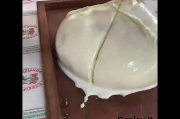 Mozzarella di Bufala- Italian food