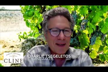 Winery Spotlight Series: Cline Cellars Virtual Wine Tasting