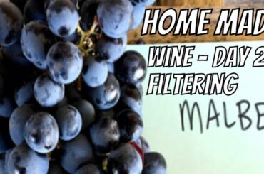 How to make wine - Day 28 - Filtering - Homemade Malbec