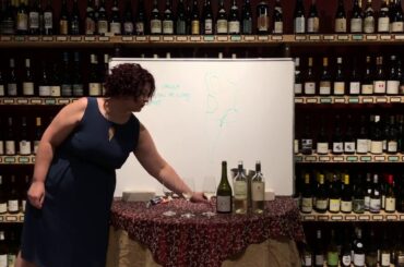 The Wines of Argentina