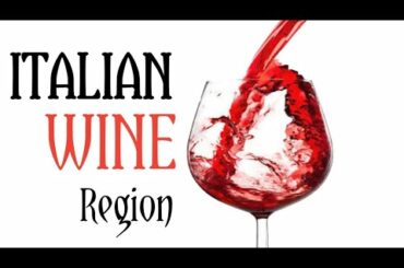 italian Wine|with details|&examples|full explanation with pptx|wine series part2|from CIMS