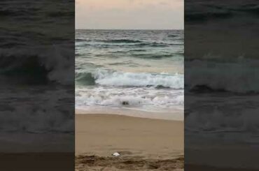 #pizza #italy #food #foodporn #italia #instafood #italianfood