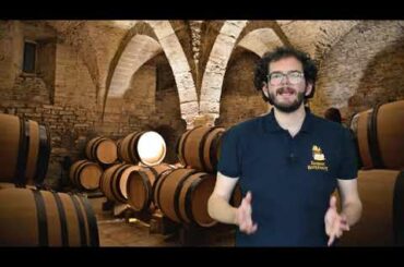 Virtual Tour of Beaune: The Wine Capital of Burgundy (Part 2)