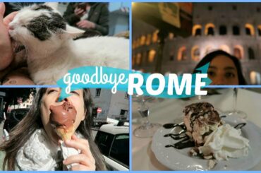 ROMAN CAT SANCTUARY (vatican city, a food journey) // Rome Final Day // Italy Travel Vlog 2017