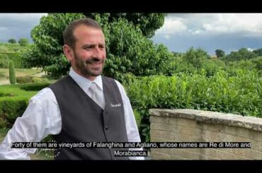 Team Building /Mastroberardino Winery and Vineyards