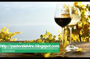 MassimoBo Barbera Superiore (italian artisan wines)