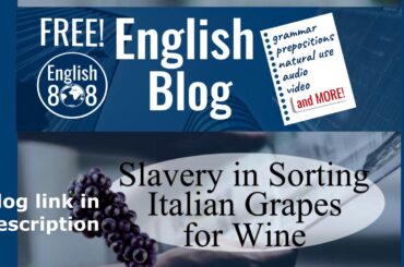Learn English from the news! Slavery in Italian wine - BLOG audio